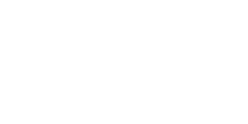 Riotec